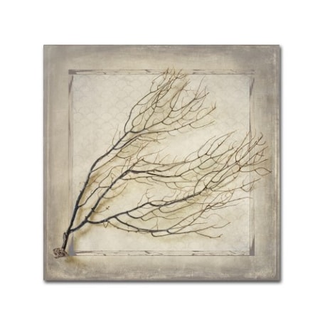 LightBoxJournal 'Starfish Sea Leaf' Canvas Art,18x18